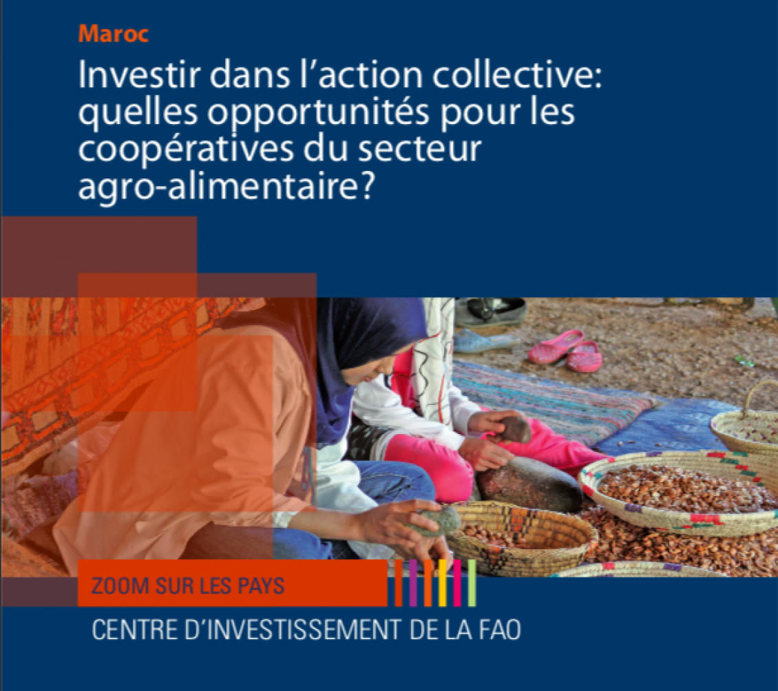 FAO: Investir dans l’action collective: quelles opportunités pour les coopératives du secteur agro-alimentaire?