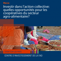 FAO: Investir dans l’action collective: quelles opportunités pour les coopératives du secteur agro-alimentaire?